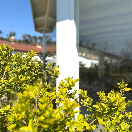 Le Village סרזאנה מראה חיצוני תמונה
