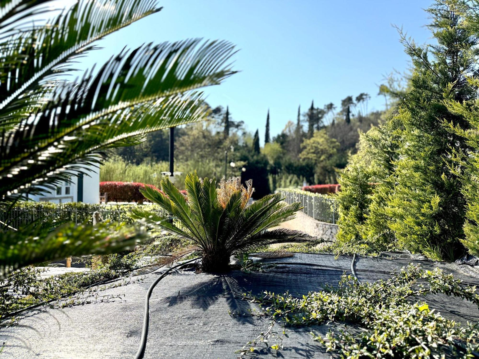 Le Village סרזאנה מראה חיצוני תמונה